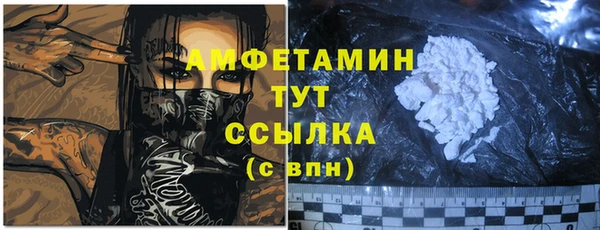 гашик Верея