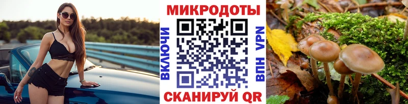Псилоцибиновые грибы GOLDEN TEACHER  как найти   кракен рабочий сайт  Городец 