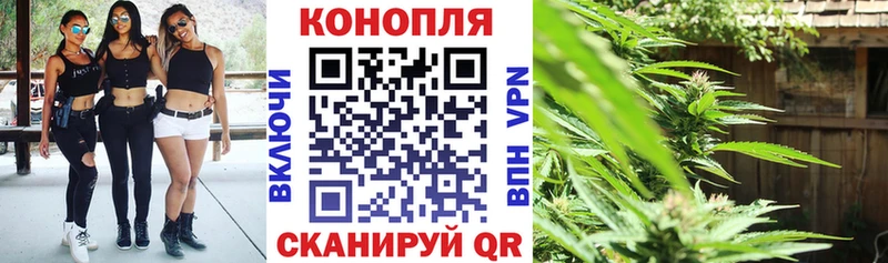 Бошки марихуана OG Kush  Городец 